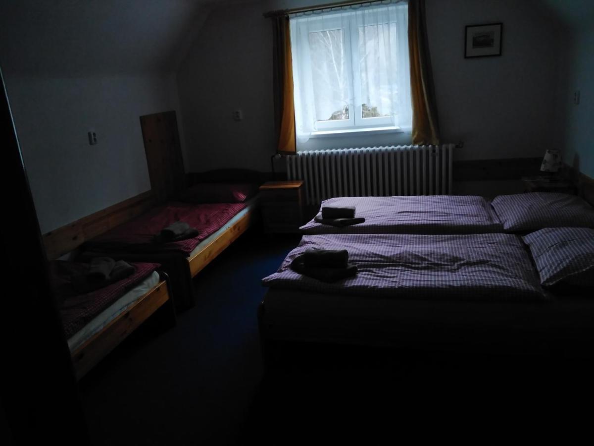 Penzion Iris Krkonose Horní Maršov 外观 照片