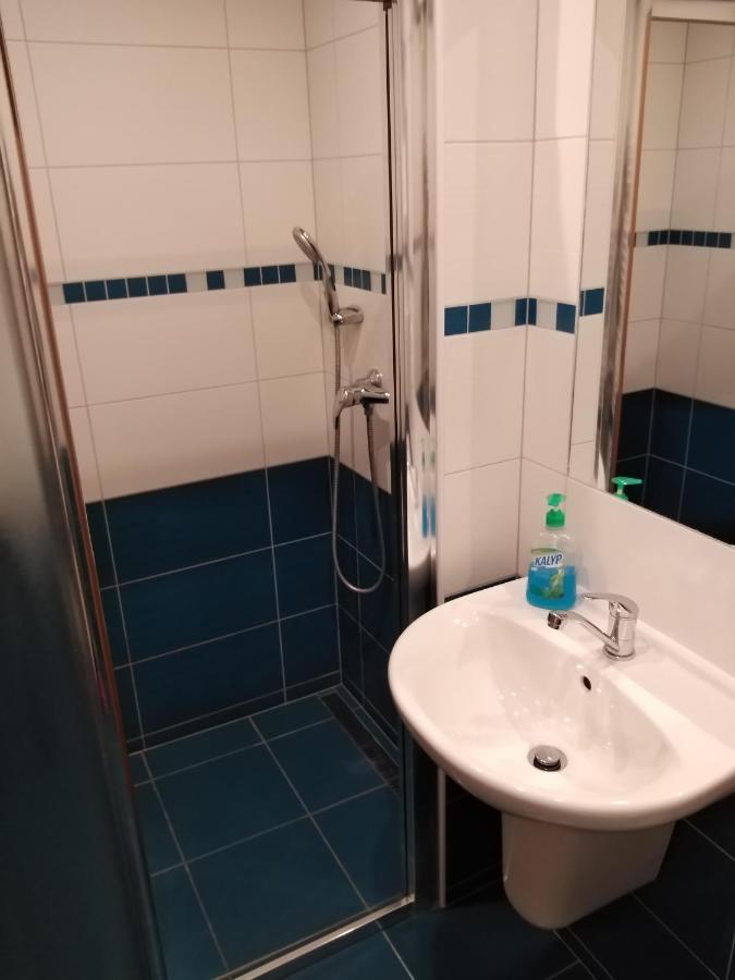 Penzion Iris Krkonose Horní Maršov 外观 照片
