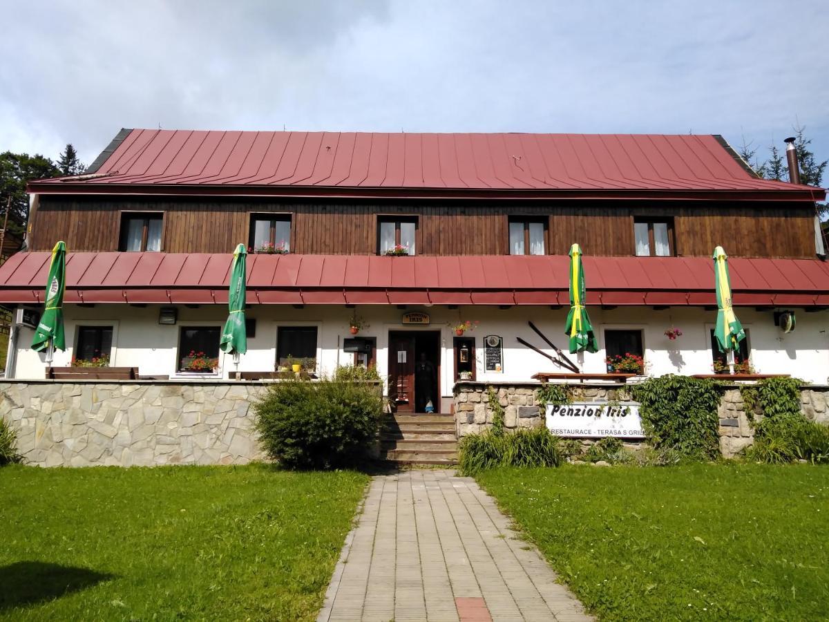 Penzion Iris Krkonose Horní Maršov 外观 照片