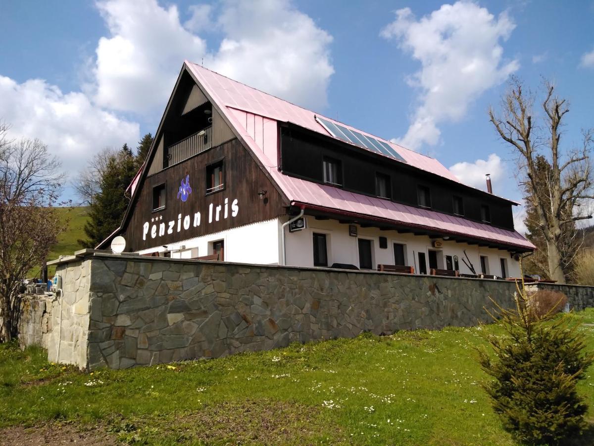 Penzion Iris Krkonose Horní Maršov 外观 照片